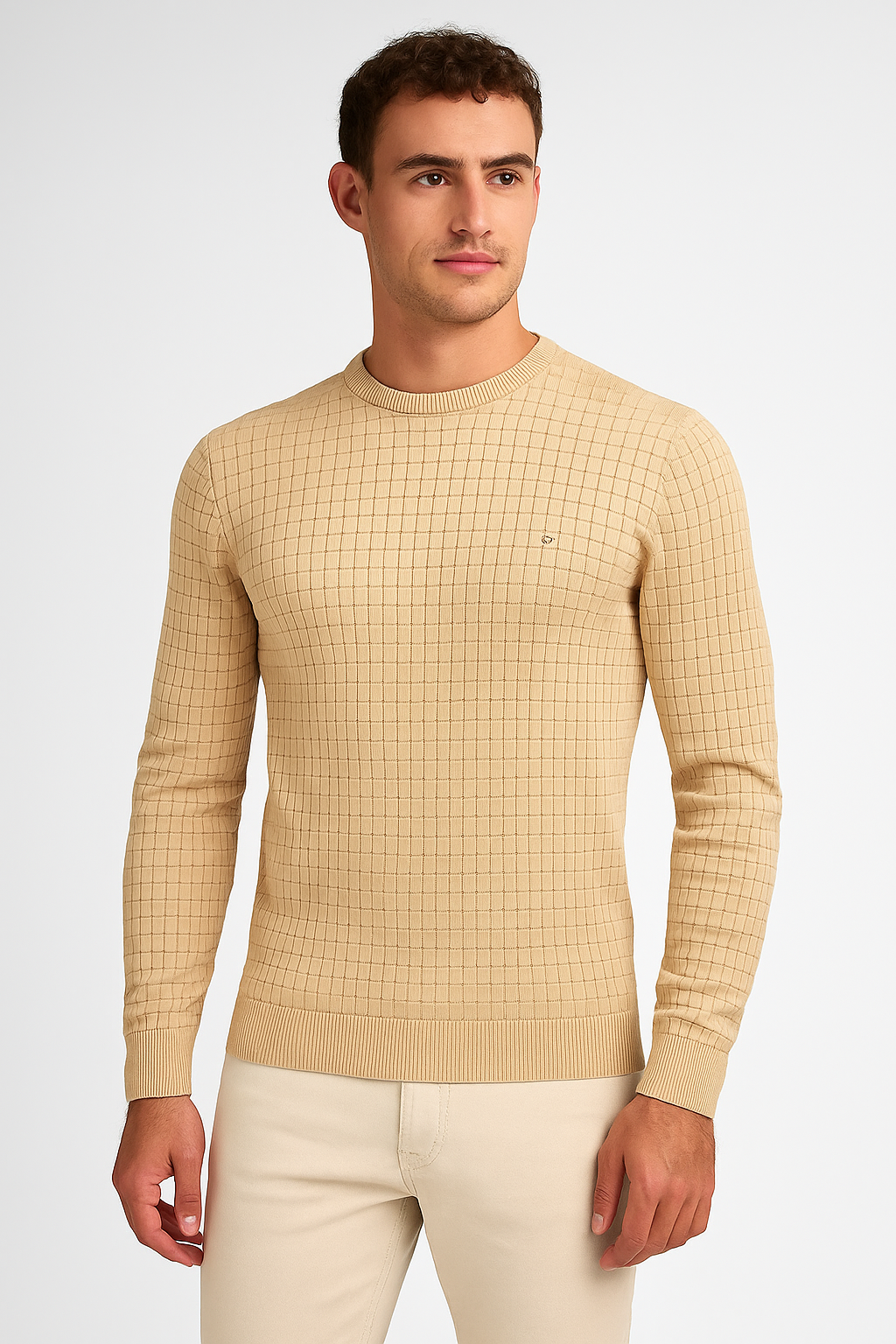 Harold - Eleganter Pullover für Herren Vincent mit schickem Karomuster